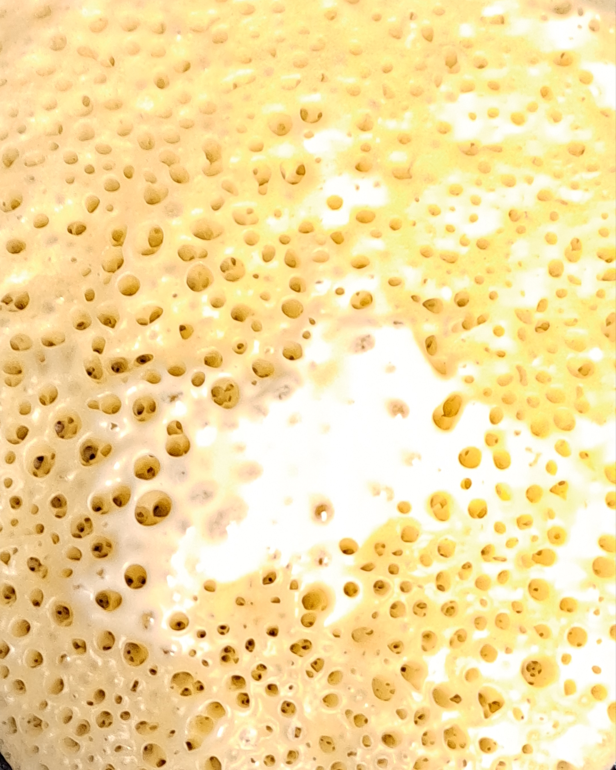 Why Do My Pancakes Have Holes? The Restaurant Life